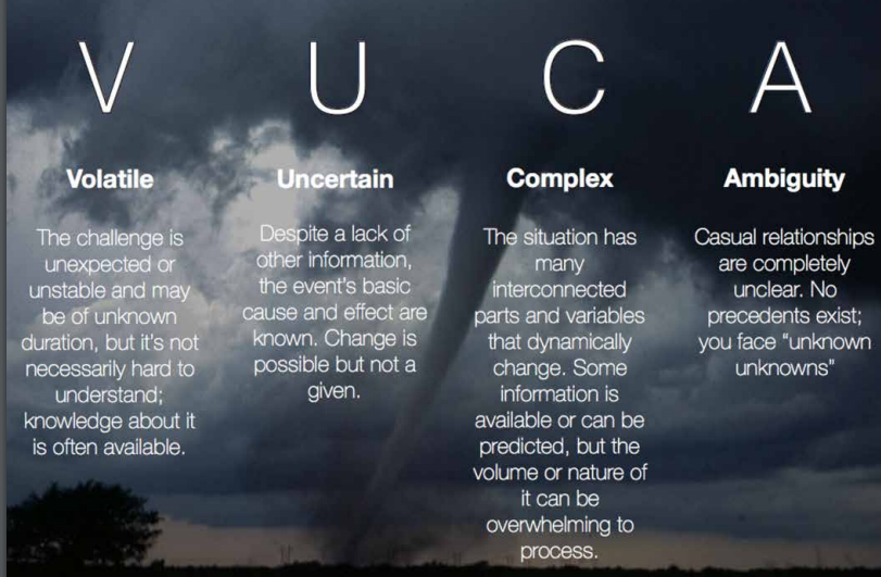 vuca.png