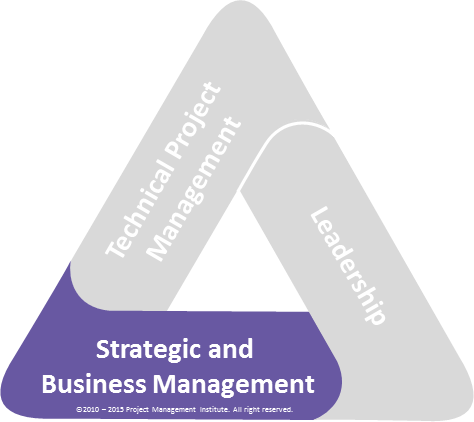 PMI.Triangle.Strategical