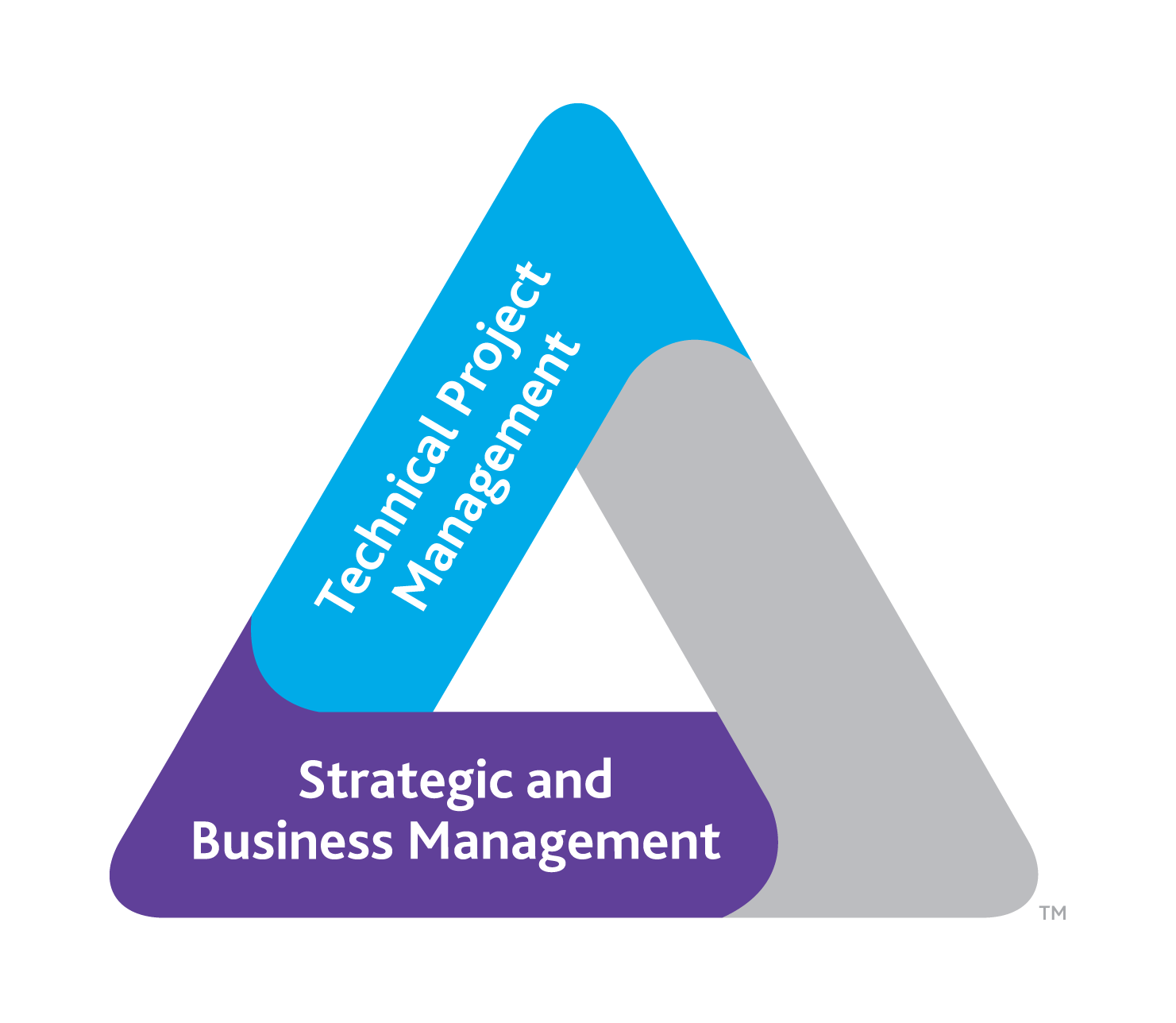 TT Dual Segment SBMxTPM